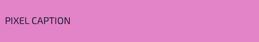 PIXEL CAPTION